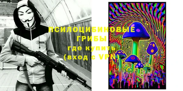 прущие крисы Верея