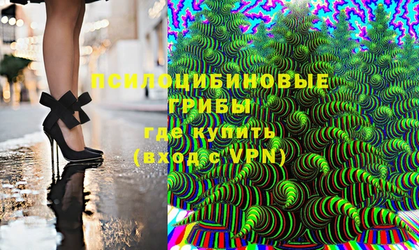 прущие крисы Верея