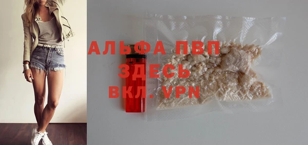 тгк Инсар