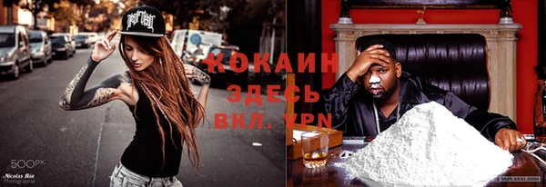 прущие крисы Верея