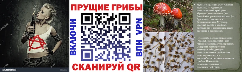 Галлюциногенные грибы Psilocybine cubensis  Кинель 